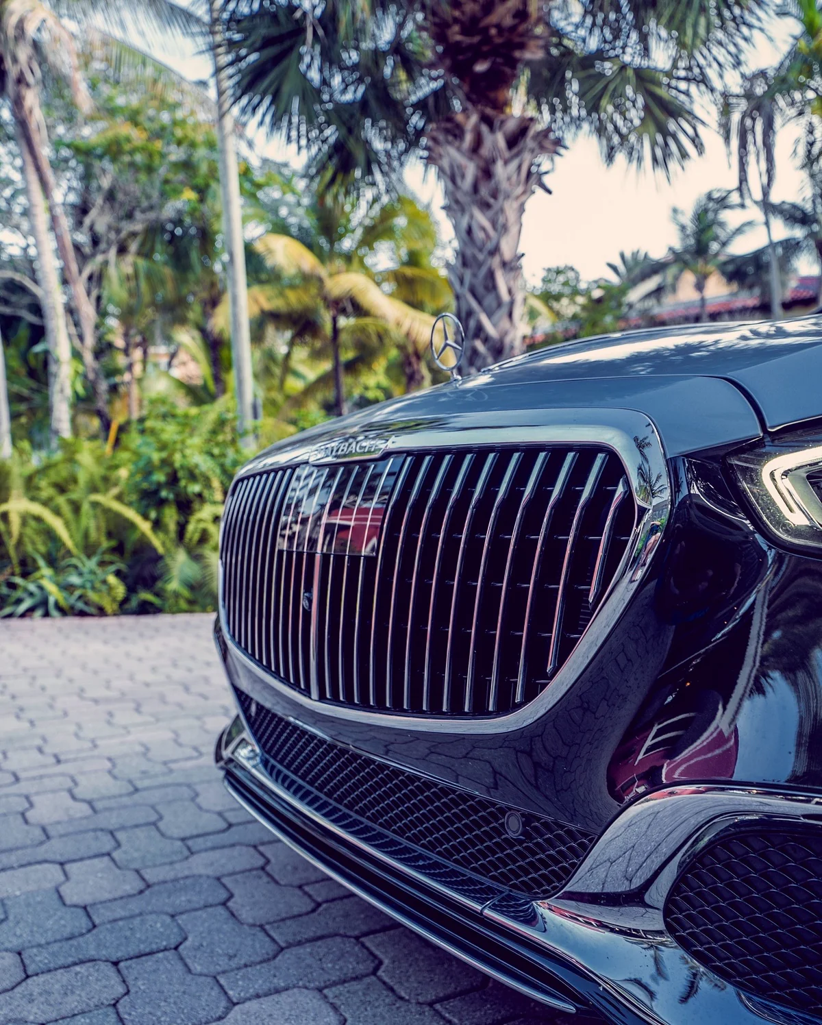 1C7BB556-1C4D-46F5-A959-D33D7271D401