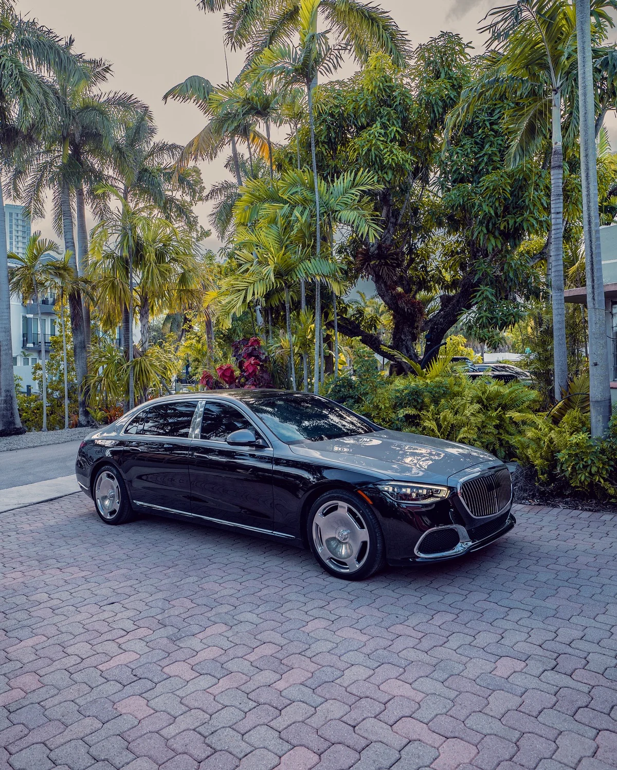 B8143C79-21FC-4941-A701-0CAF83BF06A1